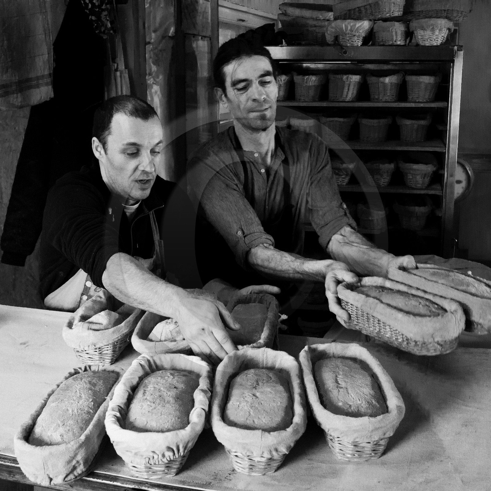 Le Grain Paysan