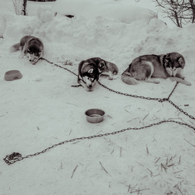 La Valgaude Traineau 2015