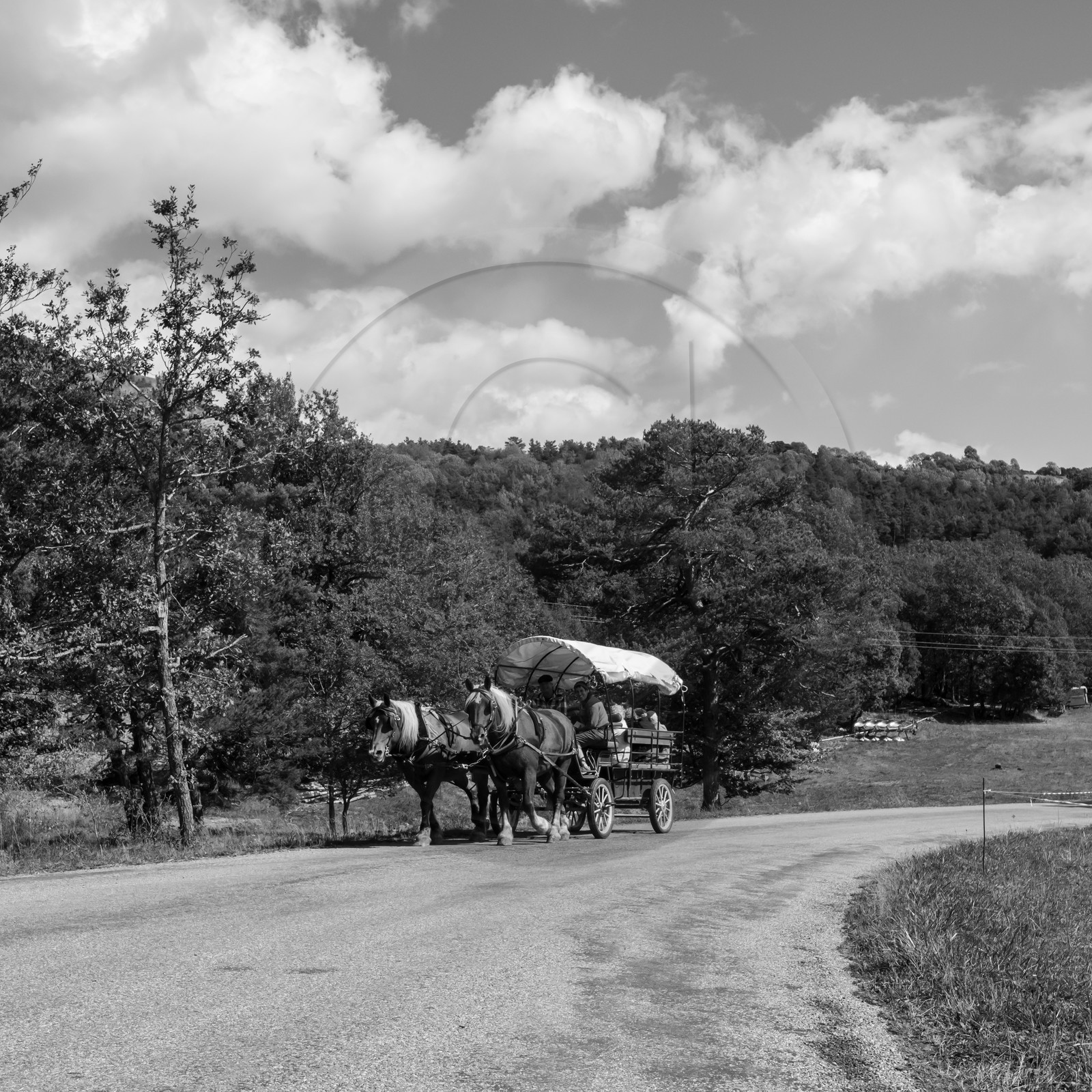 25 septembre 2019 : Promenade en calèche