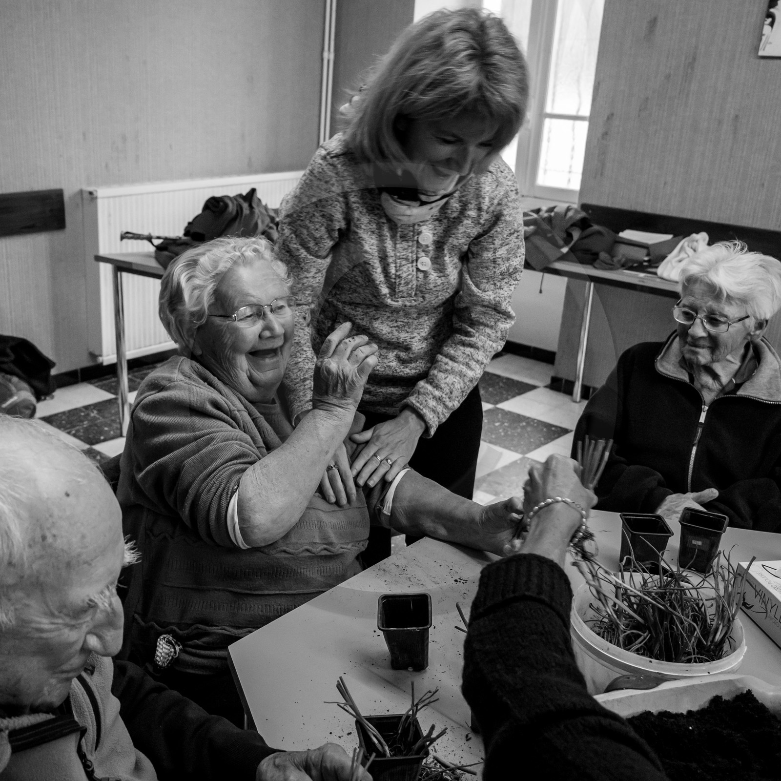 Atelier repiquage de plants de ciboulettes - 05 04 2017