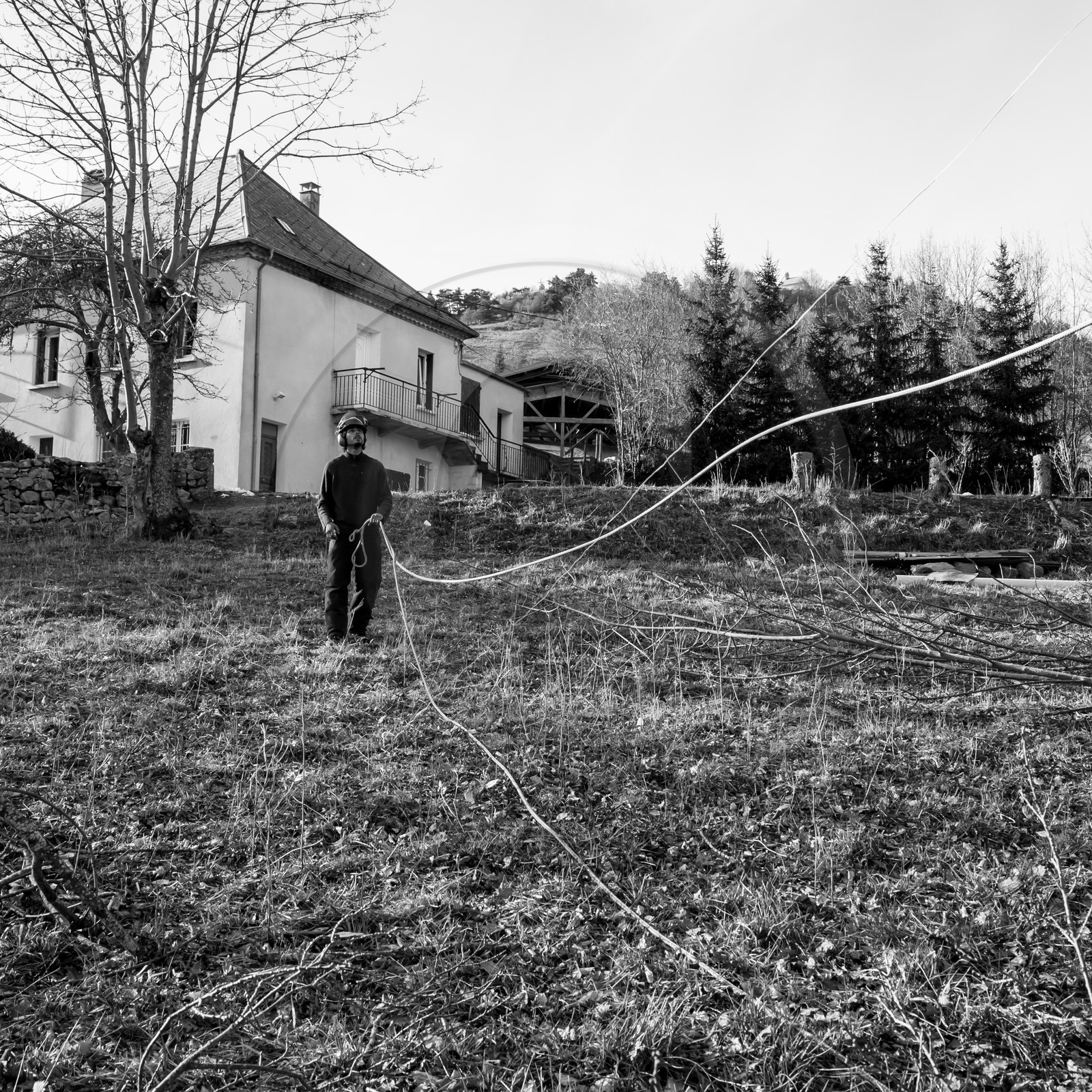 Elagage - 08 03 2017