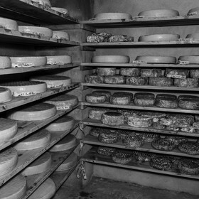 Le GAEC des Counières