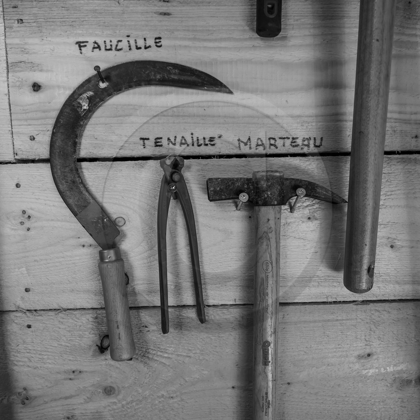 20 mars 2018 : une après-midi au jardin