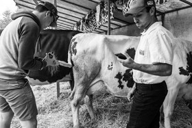 Rencontres paysannes à Saint-Bonnet en Champsaur
