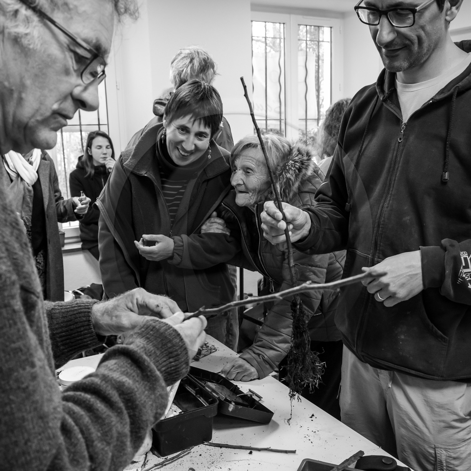 03 avril 2019 : Initiation à la greffe d'arbres fruitiers