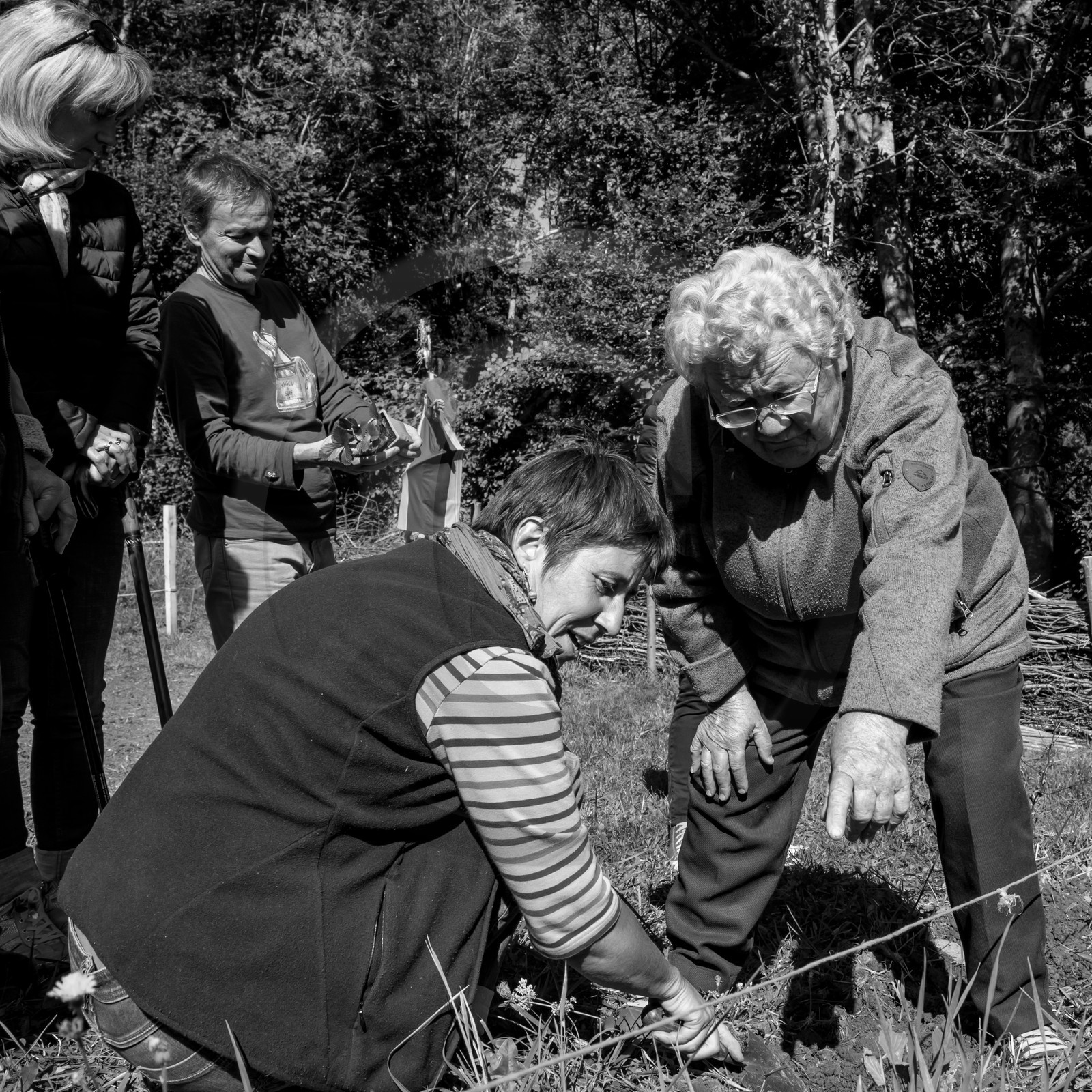 20 septembre 2017 - Jardinage