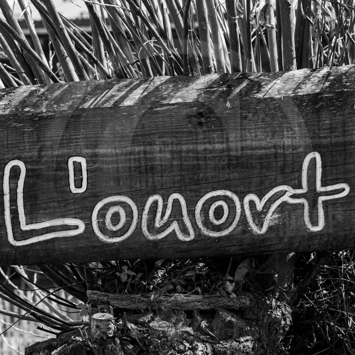 13 avril 2022 : épouvantails et petites graines