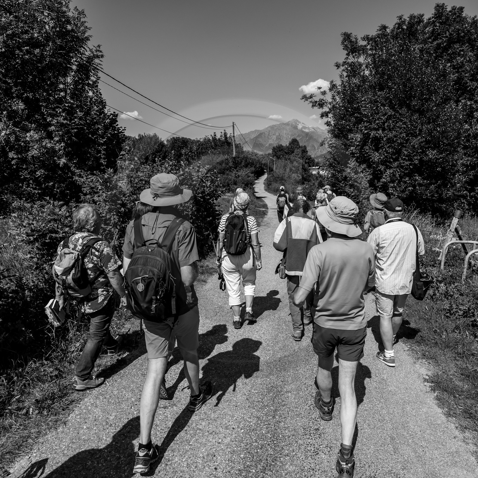Arpenter le paysage avec Martin de la Soudière