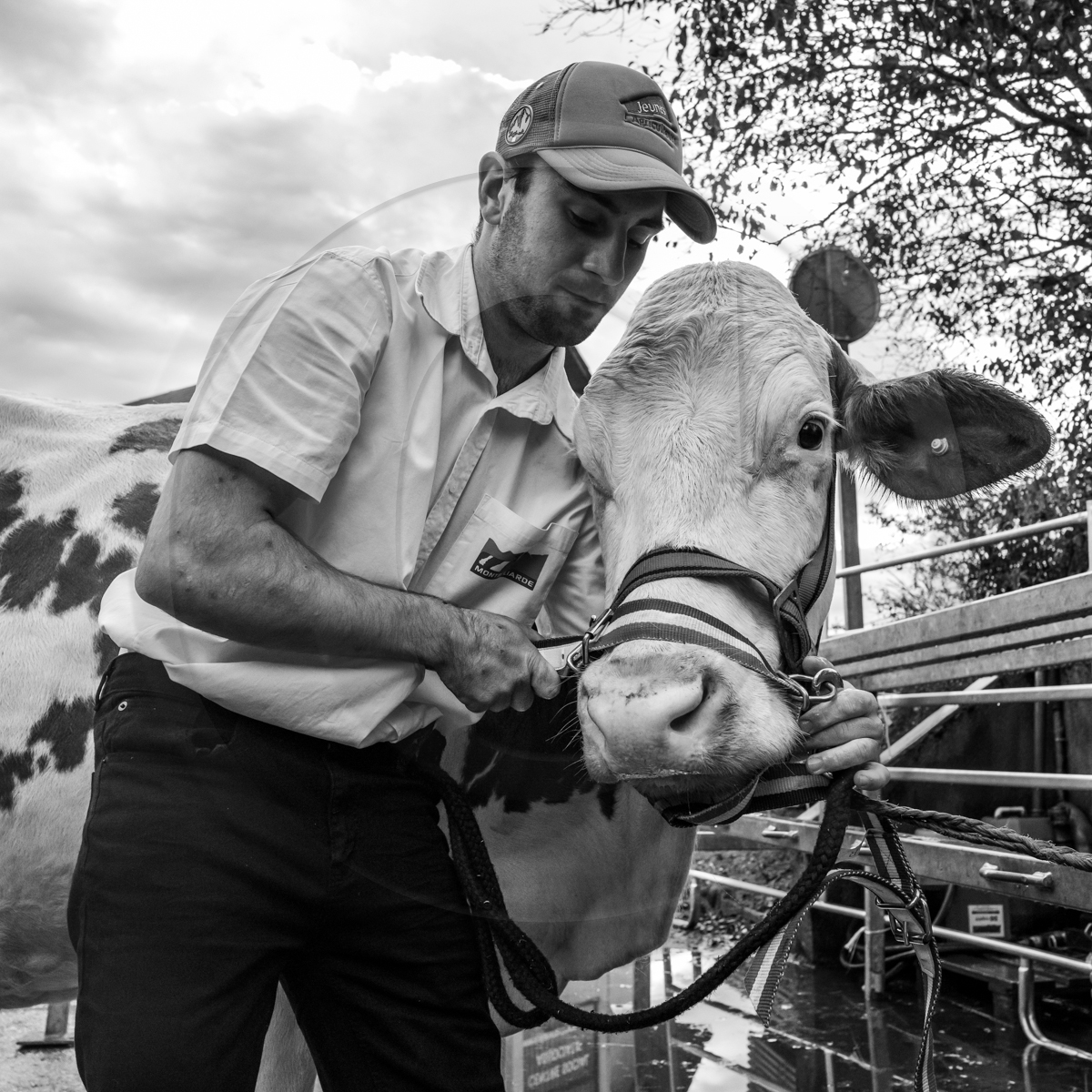 Rencontres paysannes à Saint-Bonnet en Champsaur