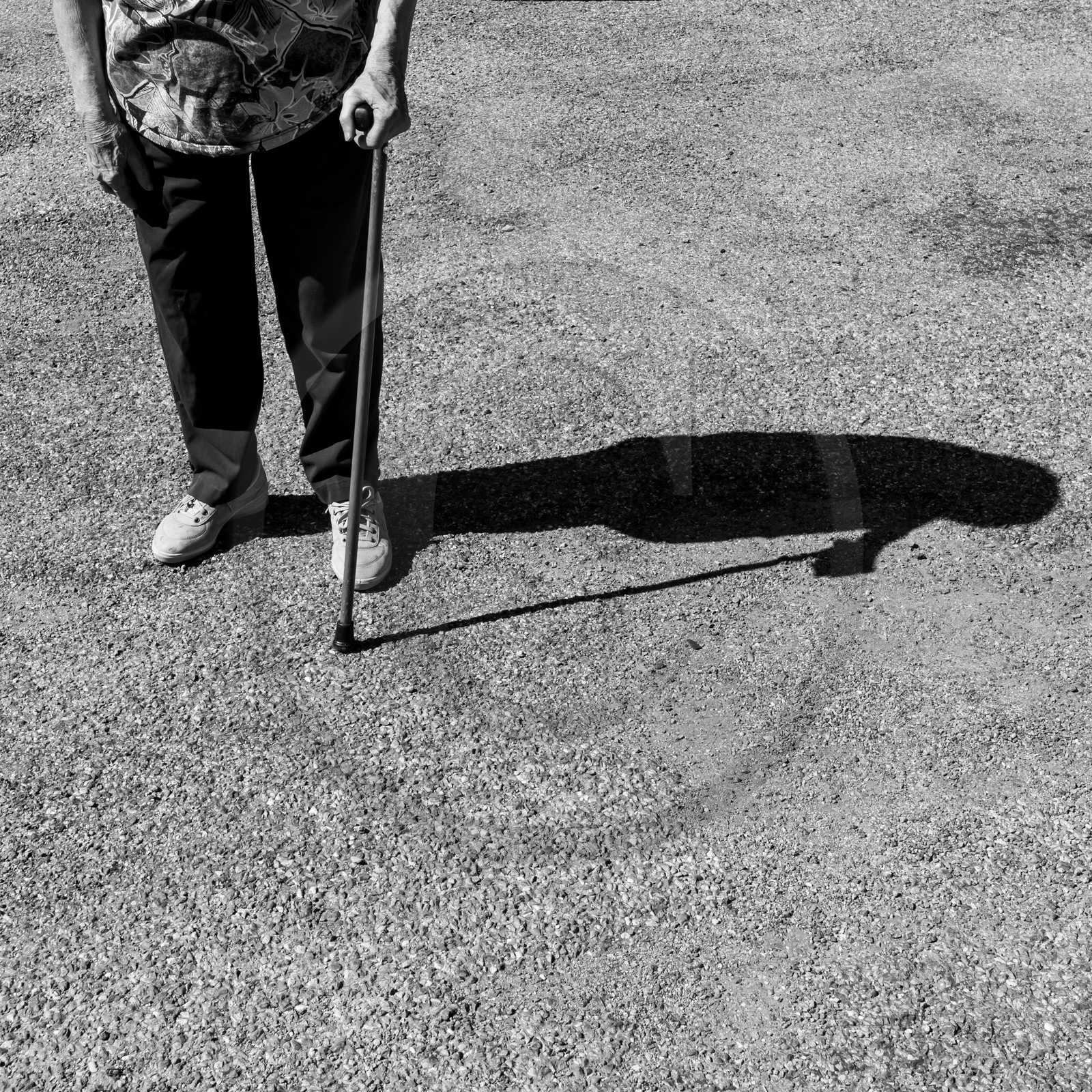 18 septembre 2019 : jeux avec Ludambule