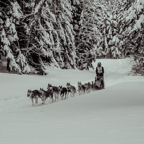 La Valgaude Traineau 2015