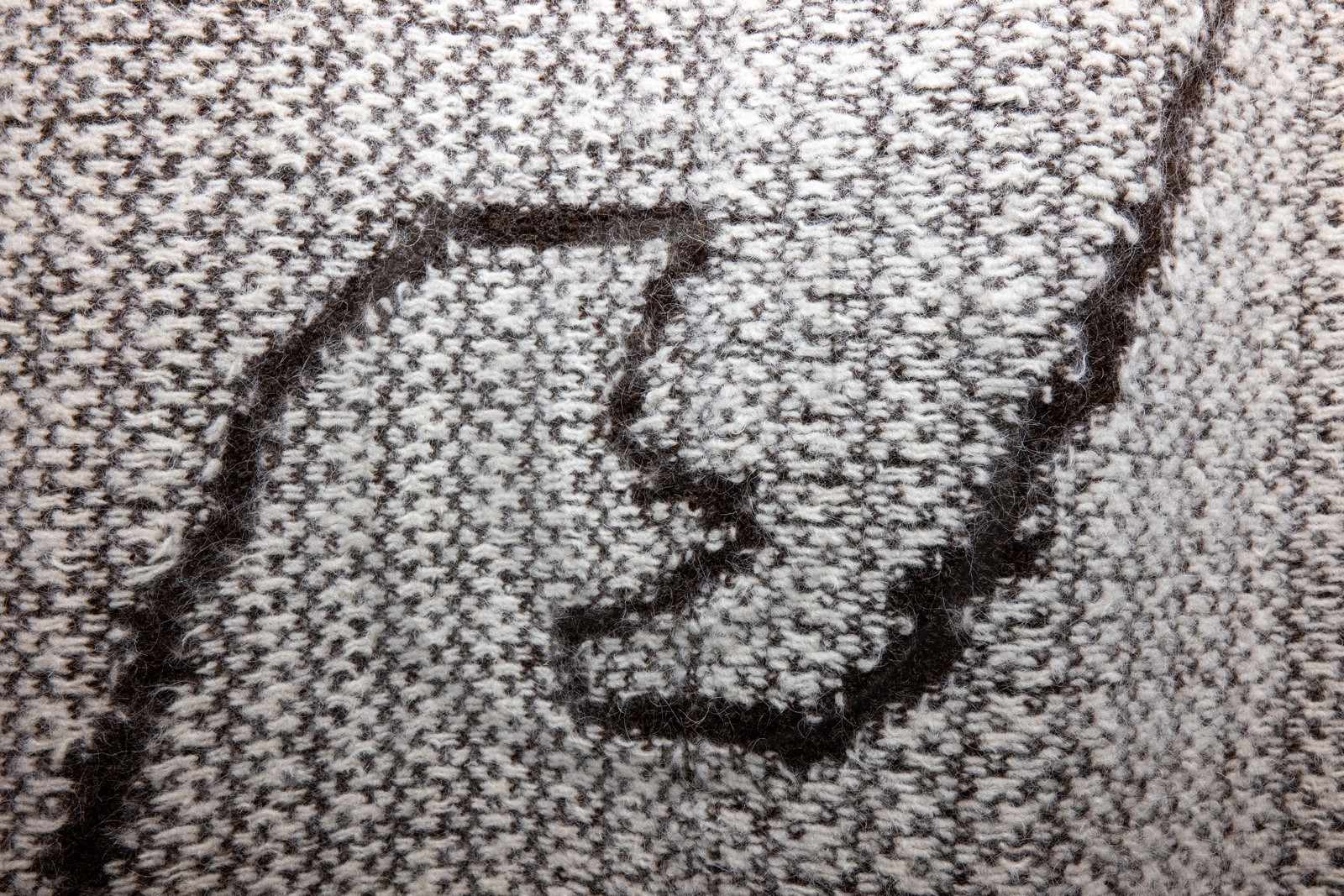 Expositions à la maison du Berger - Champoléon