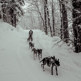 La Valgaude Traineau 2015