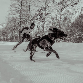 La Valgaude Traineau 2015