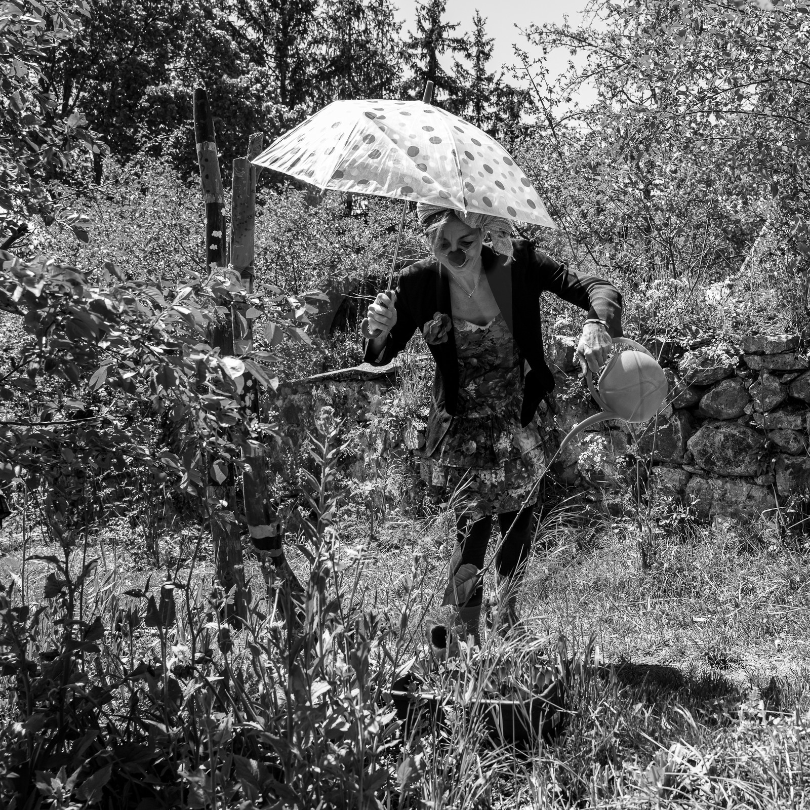 10 mai 2023 : Des clowns à l'Ouort