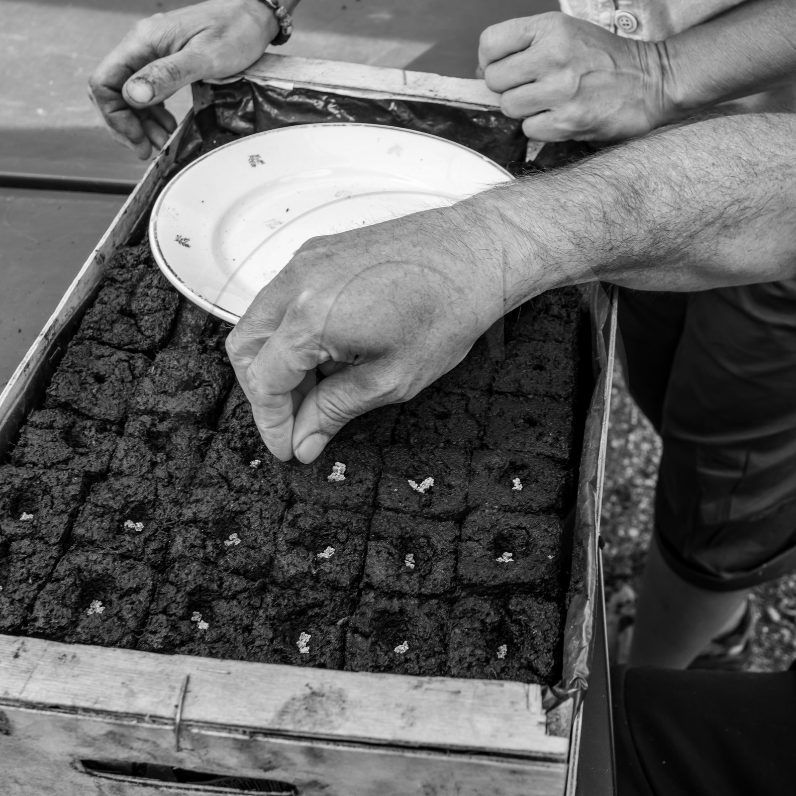 L'APF en visite à l'Ouort