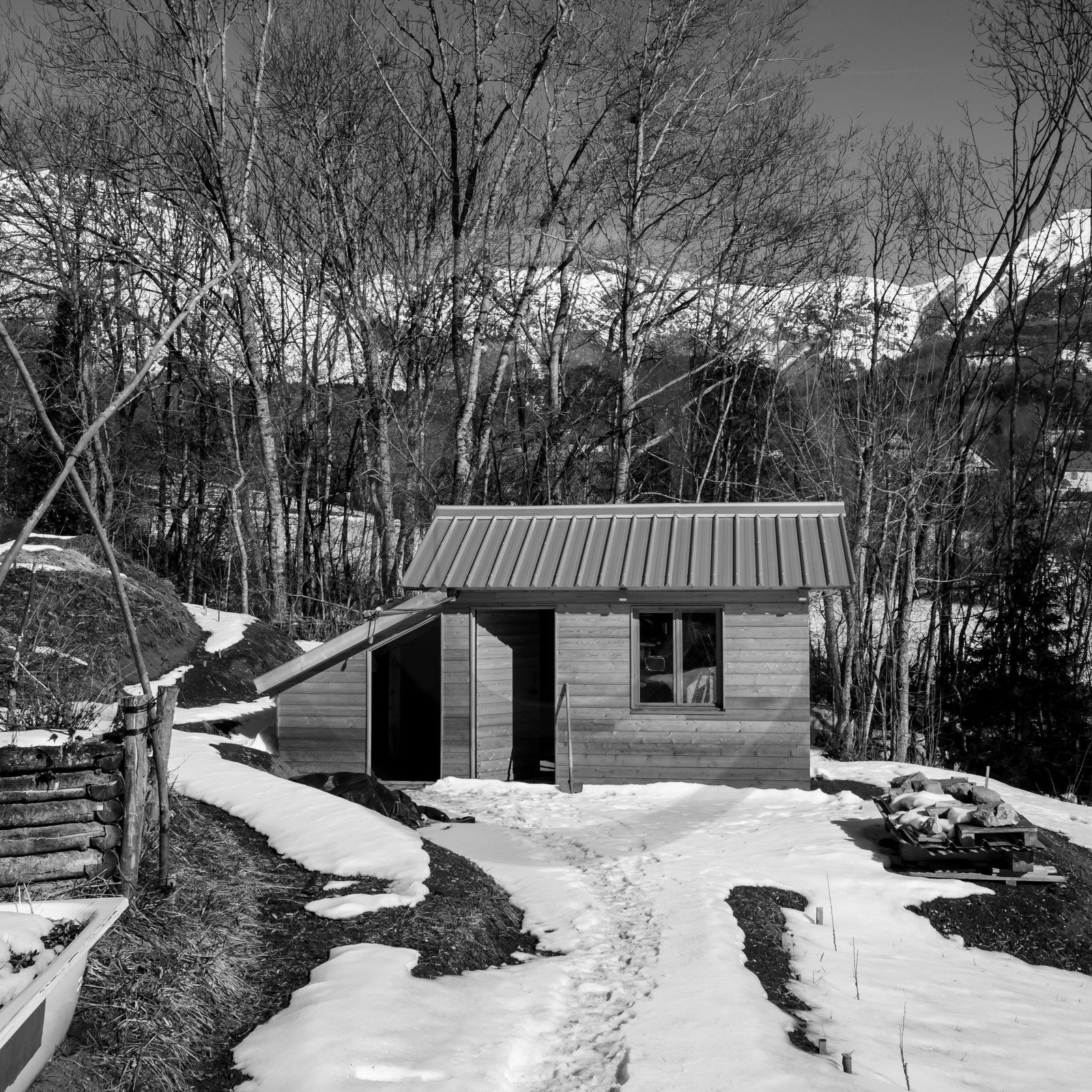 06 février 2019 : la pose des nichoirs