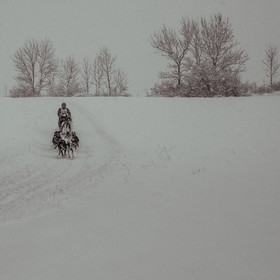 La Valgaude Traineau 2015
