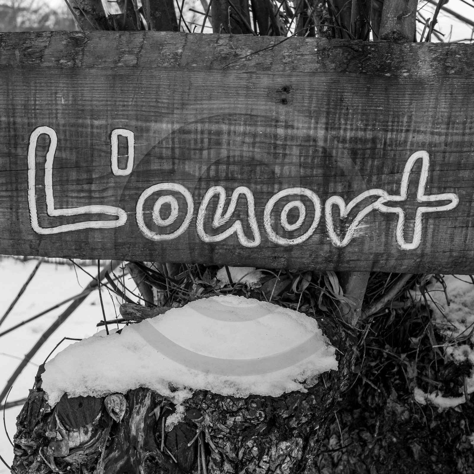 21 janvier 2021 : l'Ouort sous la neige