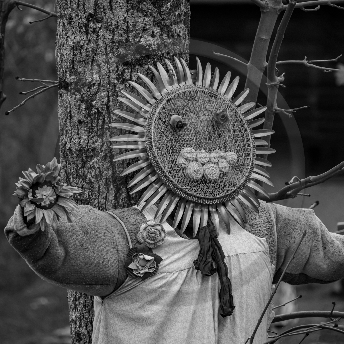 20 avril 2022 : des contes, des pommes de terre et un petit café 20 avril 2022 : des contes, des pommes de terre et un petit café