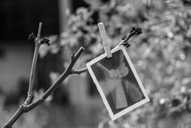 03 mai 2024 : Journée des aidants