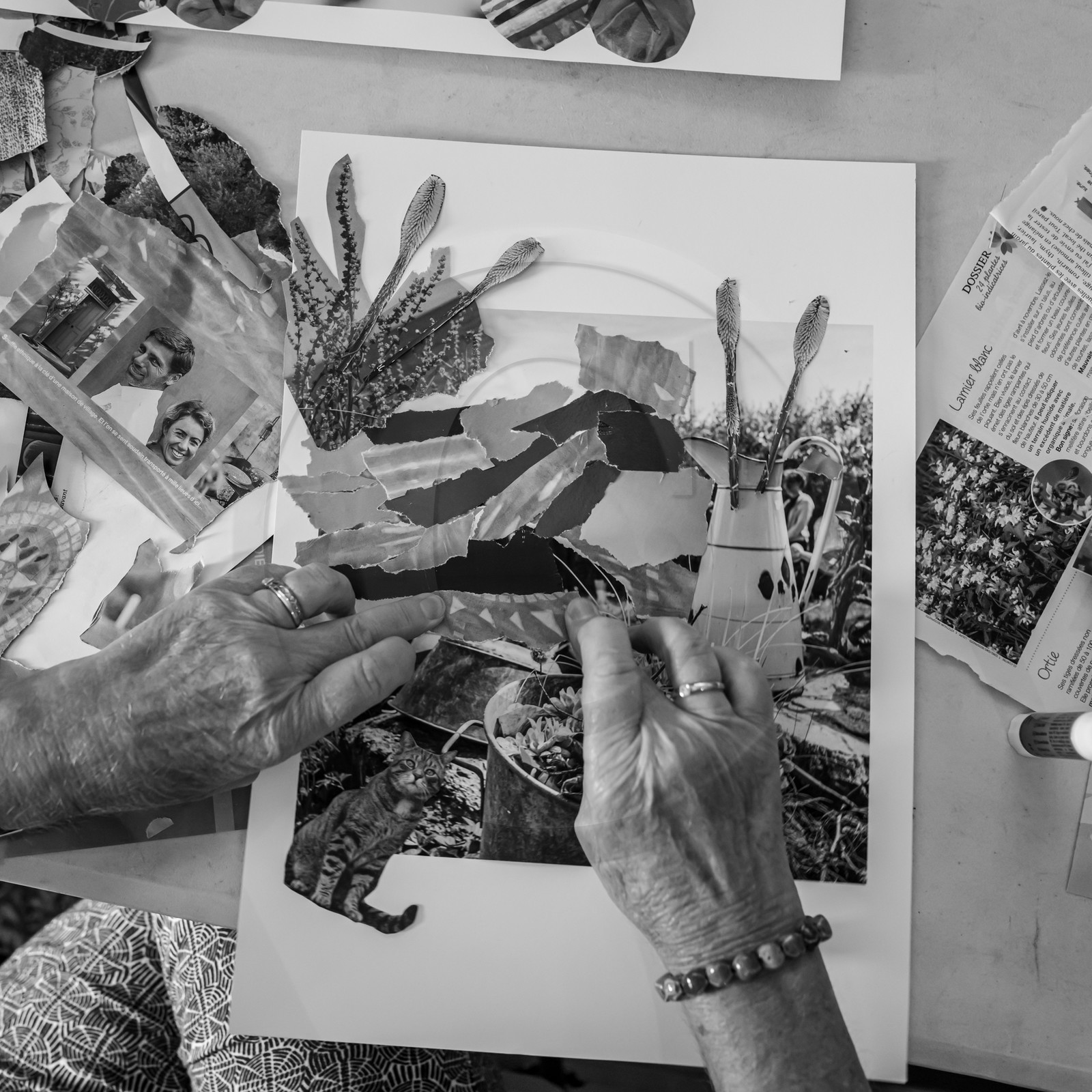 28 août 2024 : A la Maison de la Botanique du Noyer en Champsaur. Visite de l'exposition L comme laine, lien, lieu. Lectures par Les Colporteurs. Collages sur les photographies de Denis Lebioda