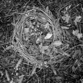 12 octobre 2022 : Land Art à l'Ouort