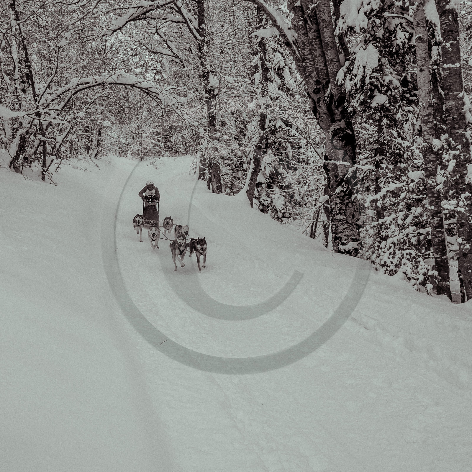 La Valgaude Traineau 2015