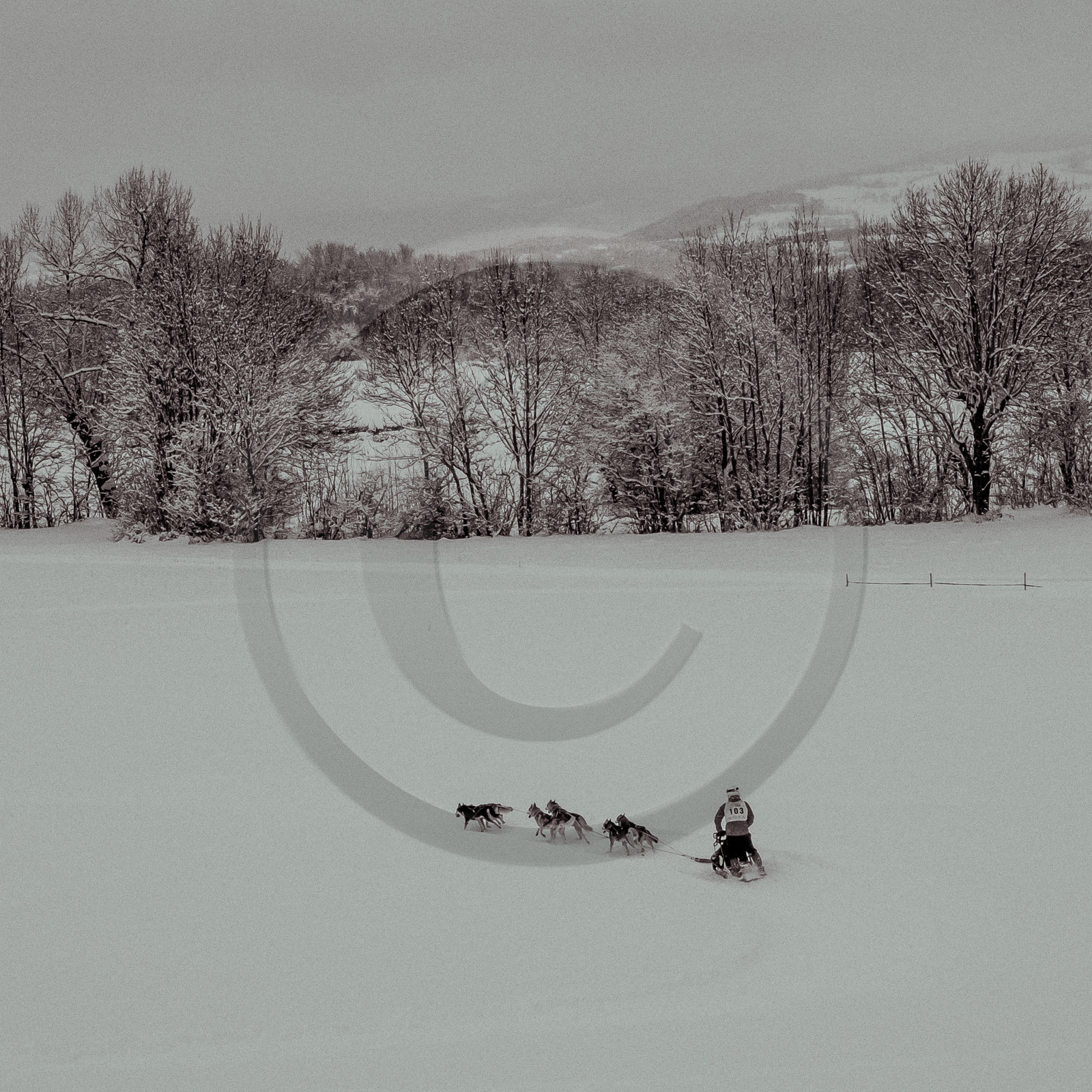 La Valgaude Traineau 2015
