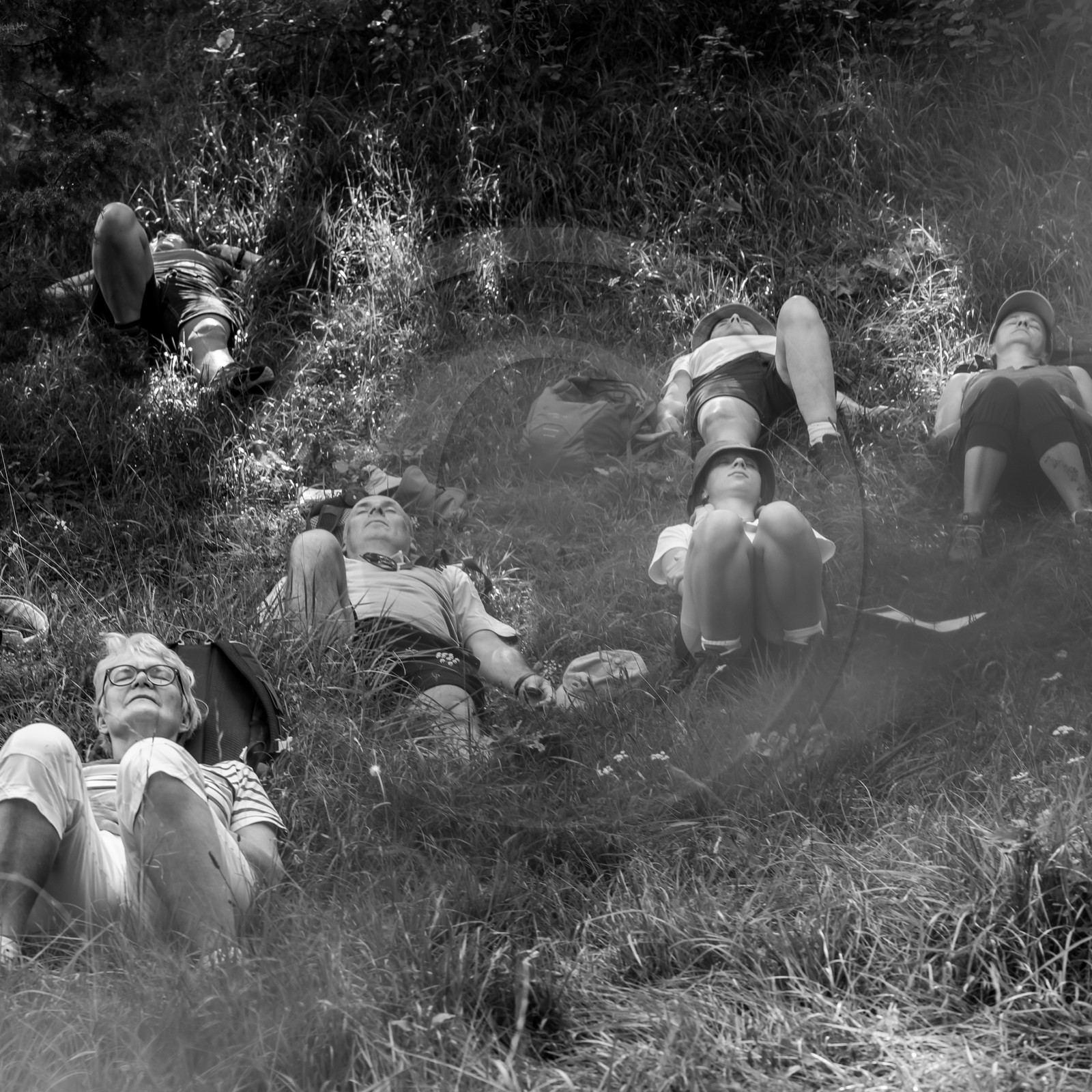 Arpenter le paysage avec Martin de la Soudière