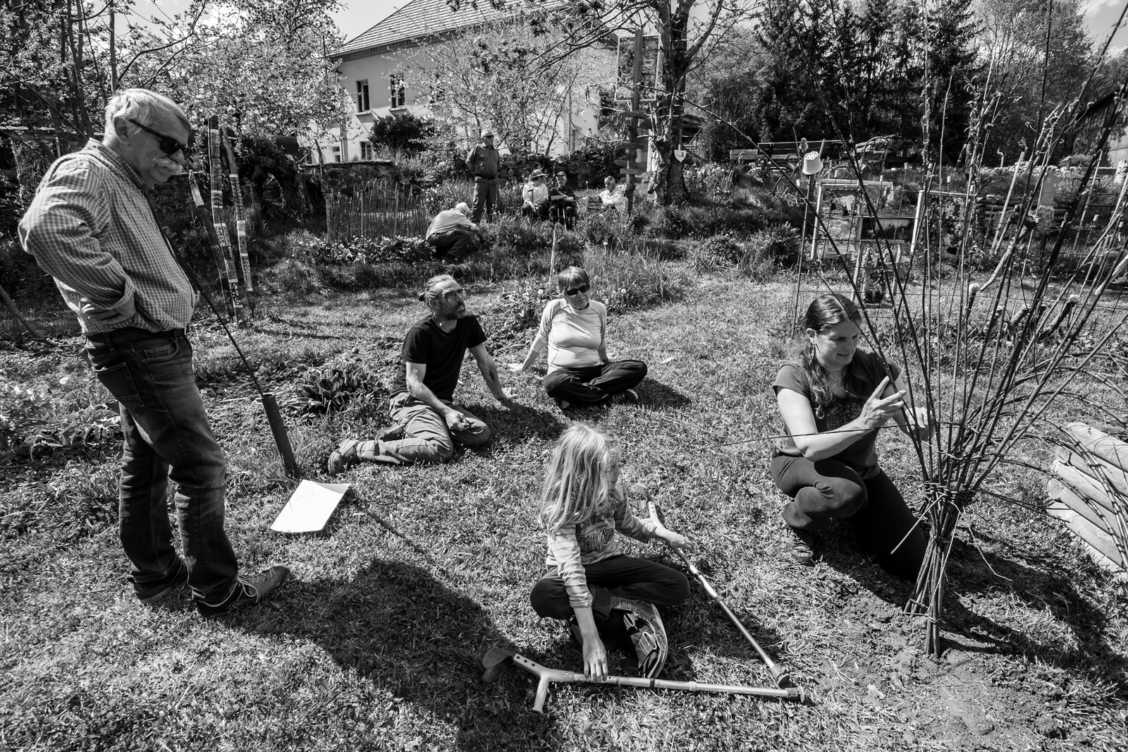 30 avril 2025 : Un oiseau en osier