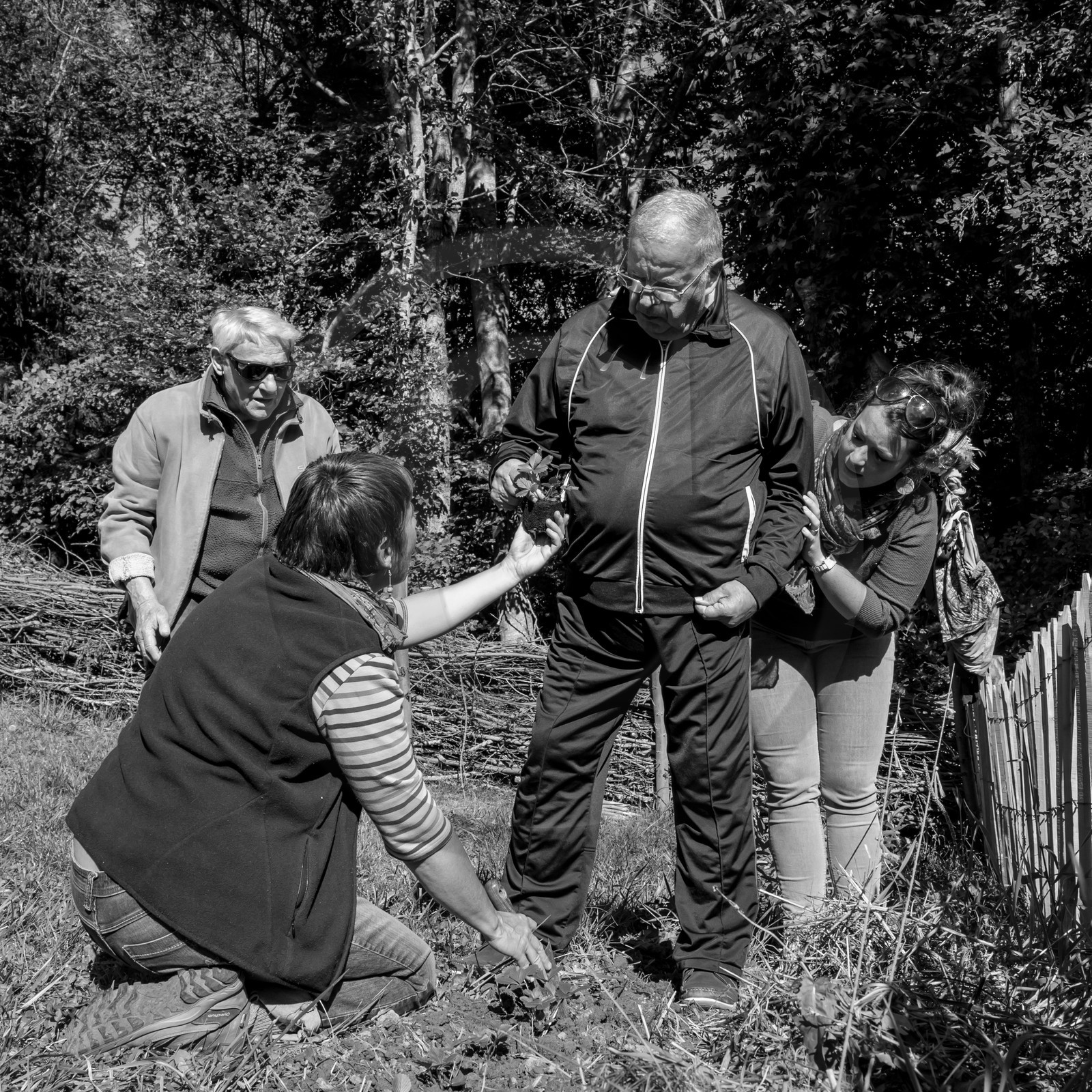 20 septembre 2017 - Jardinage