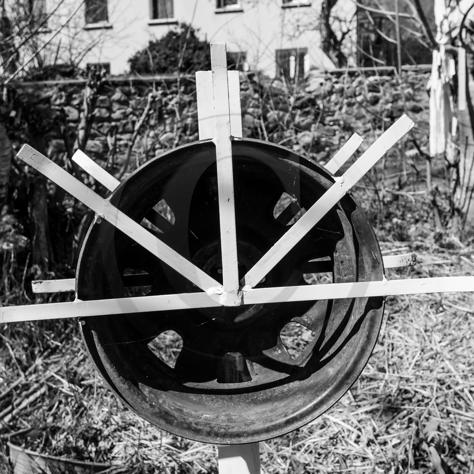20 mars 2018 : une après-midi au jardin