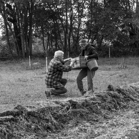 La récolte des pommes de terre avec un cheval