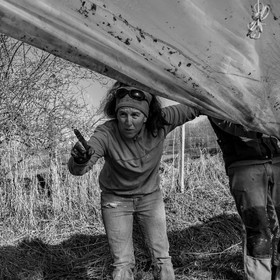 Montage de serres tunnel