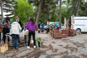 31 mai 2025 : AMAP du Champsaur - Distribution