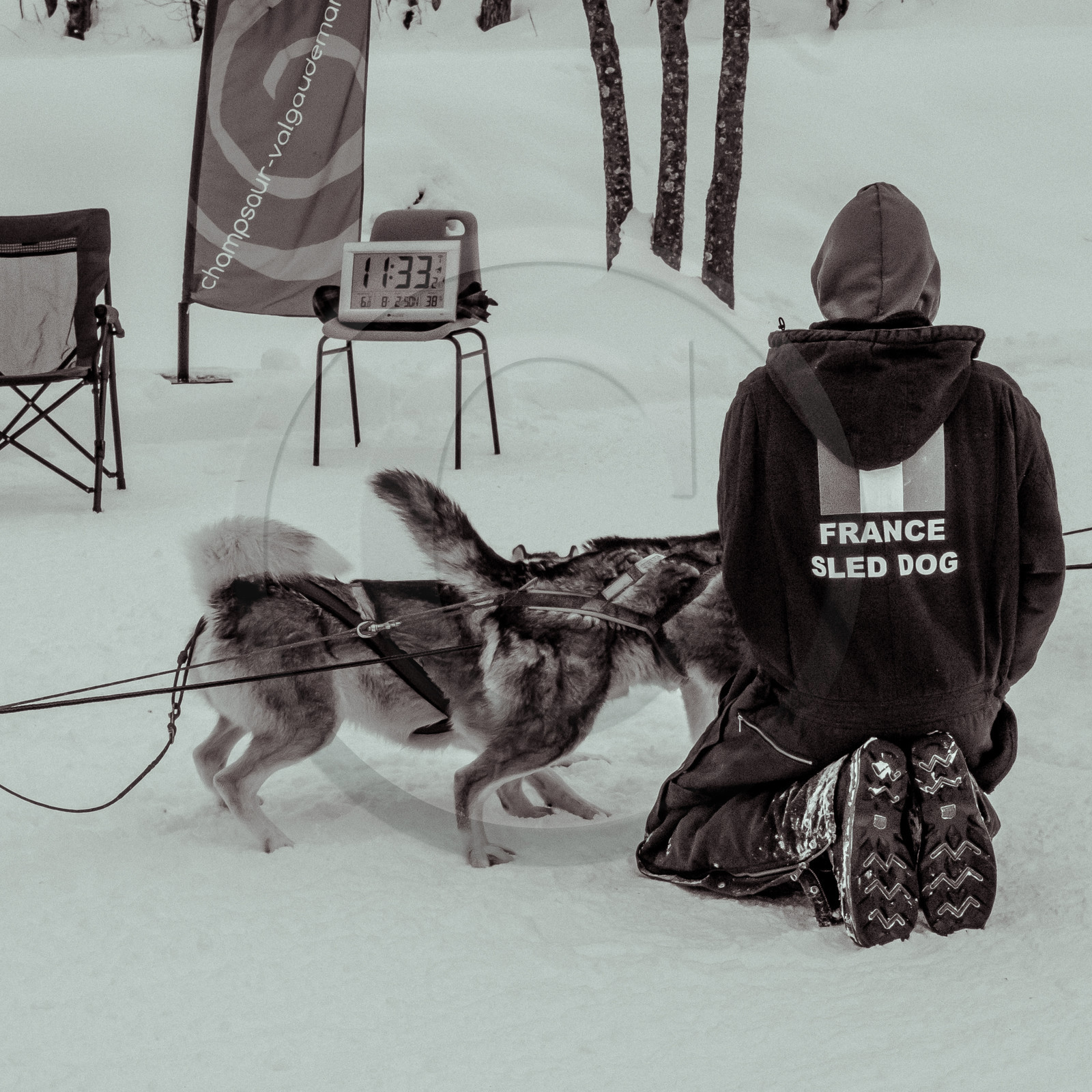 La Valgaude Traineau 2015