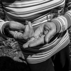 22 septembre 2021 : plein d'activités à l'Ouort