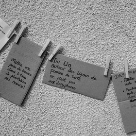 25 mai 2019 : Vide-Jardin de l'Ouort de Benevènt