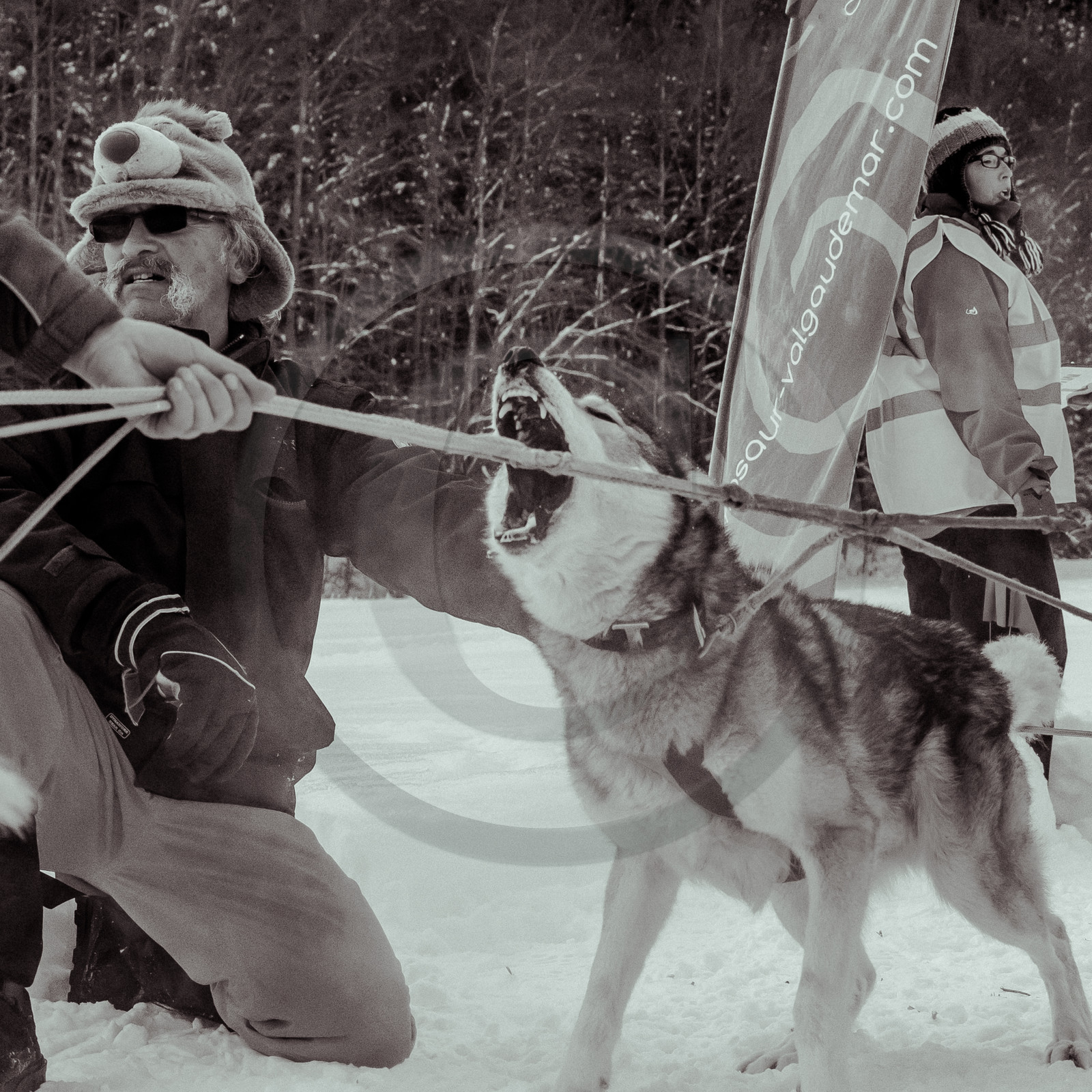La Valgaude Traineau 2015 La Valgaude Traineau 2015