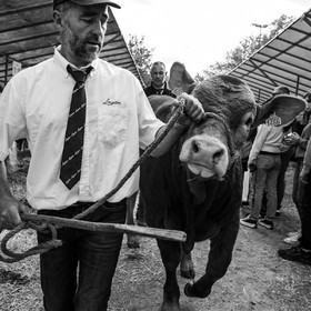 Rencontres paysannes à Saint-Bonnet en Champsaur