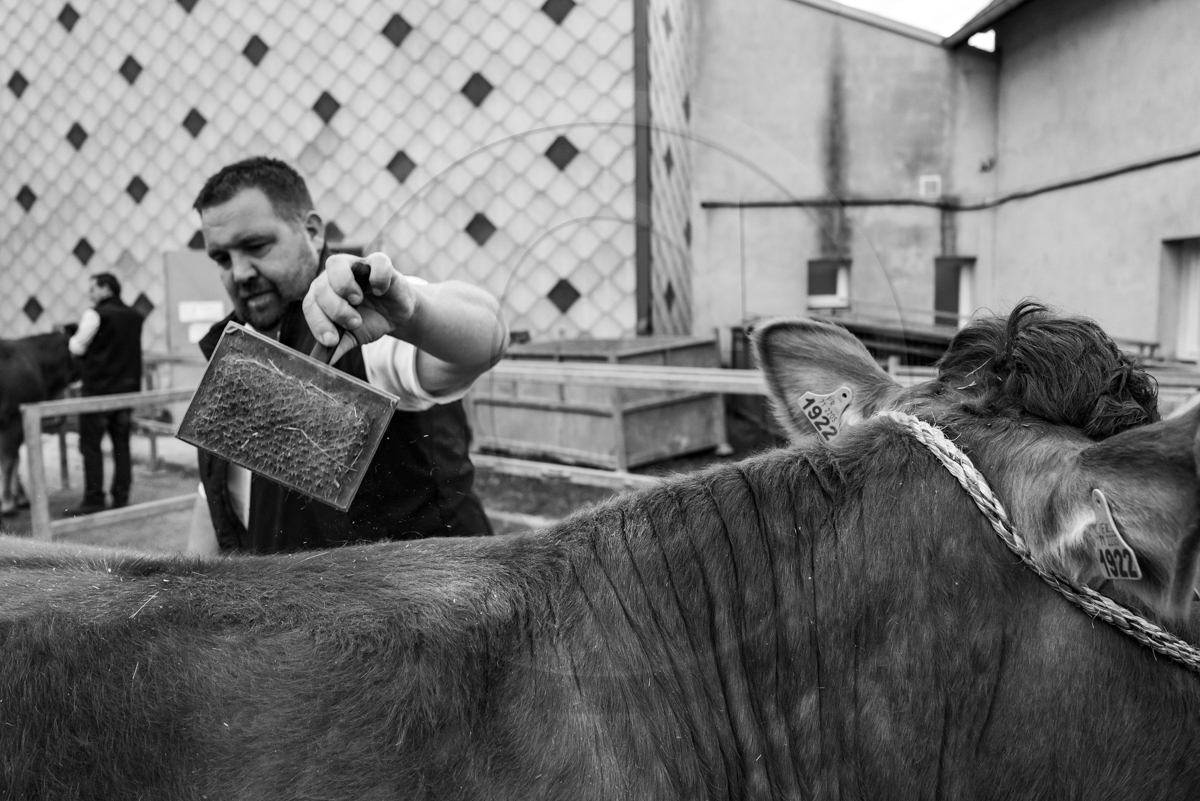 Rencontres paysannes à Saint-Bonnet en Champsaur