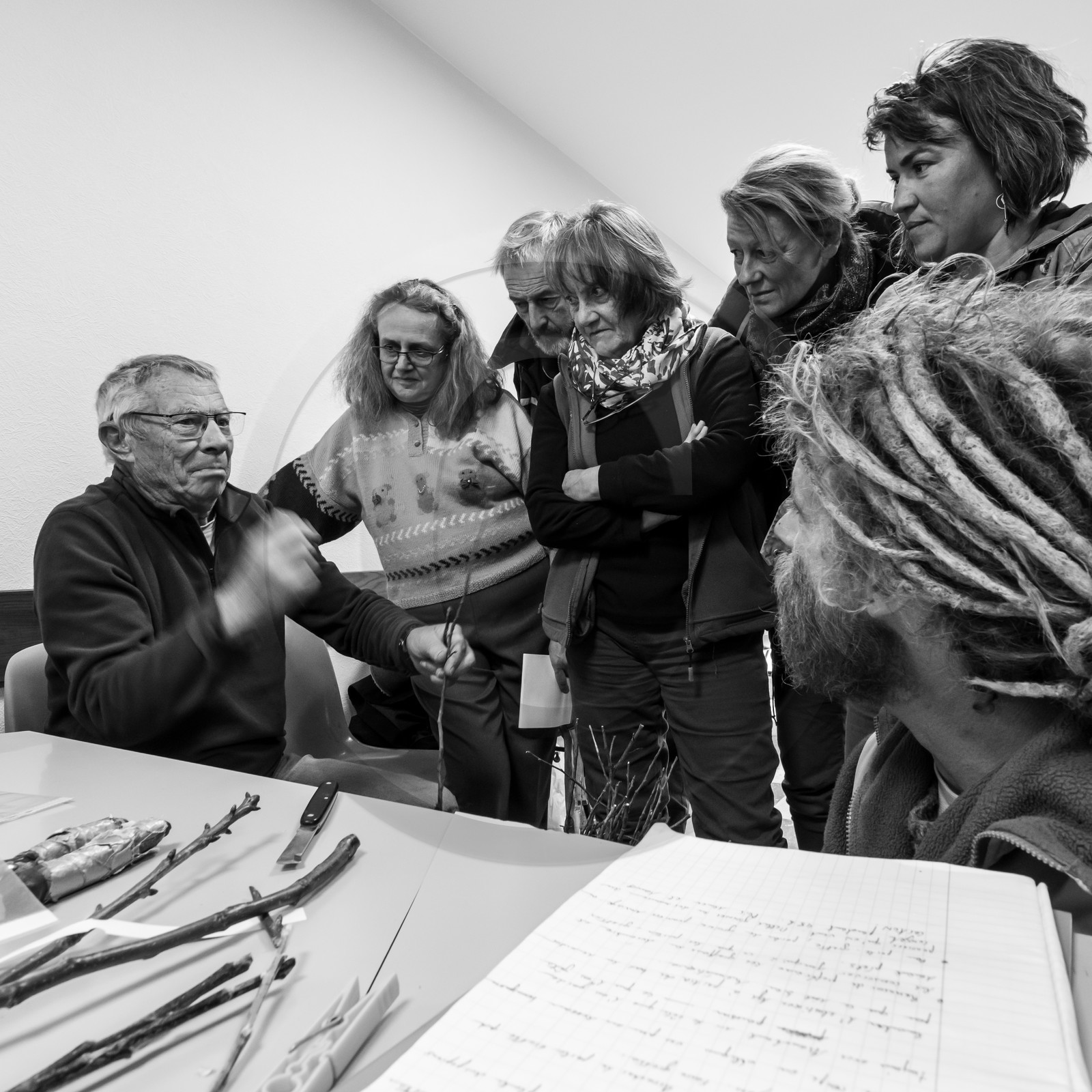 03 avril 2019 : Initiation à la greffe d'arbres fruitiers