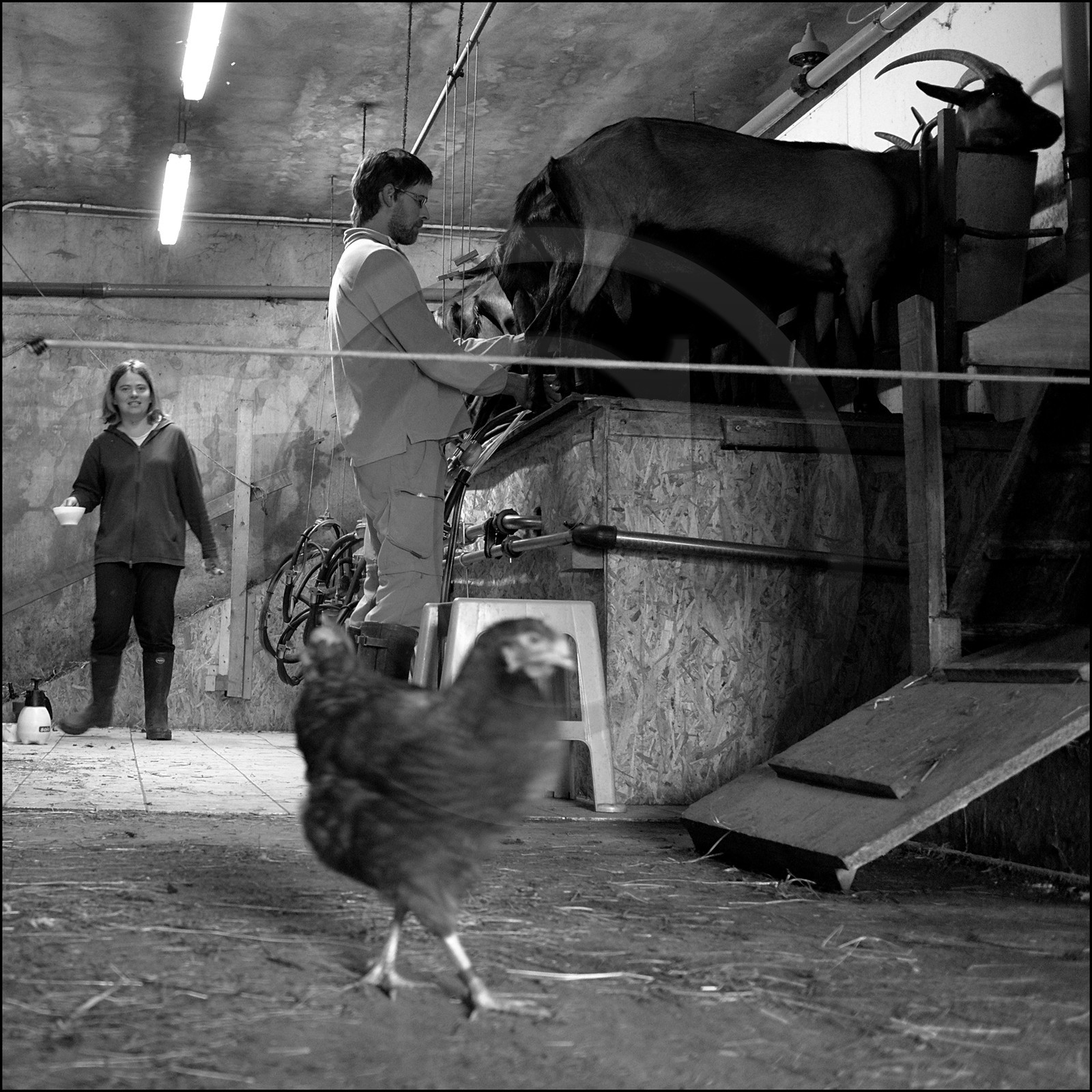 La ferme des Cabrioles