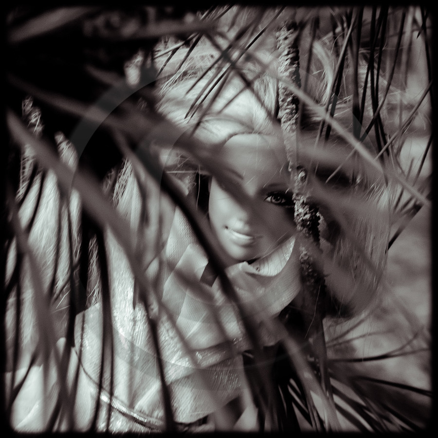 Promenade en forêt Promenade en forêt