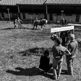Labour avec un cheval - 17 04 17