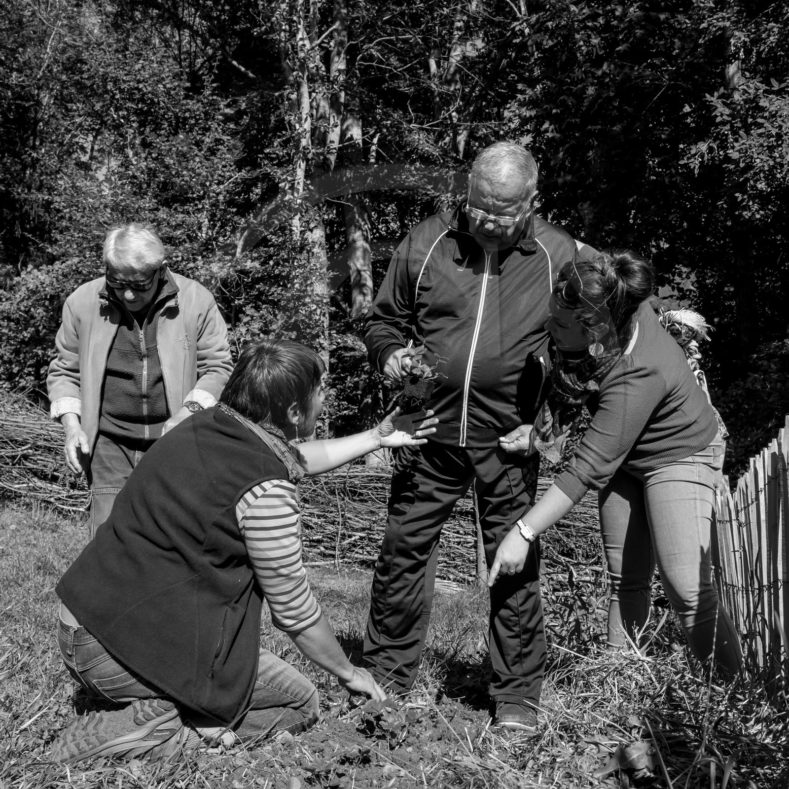 20 septembre 2017 - Jardinage