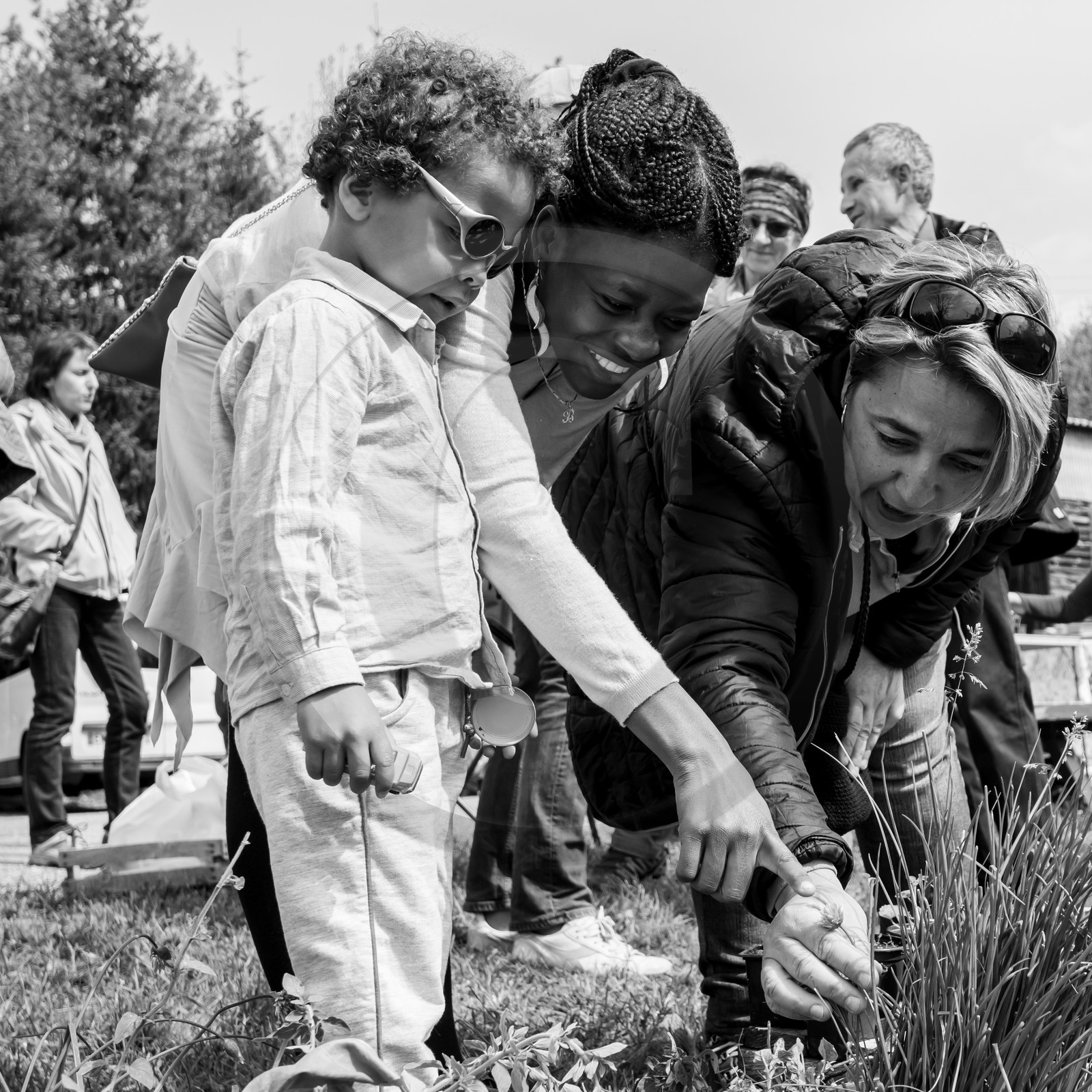 25 mai 2019 : Vide-Jardin de l'Ouort de Benevènt