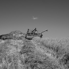 Les moissons dans le Champsaur