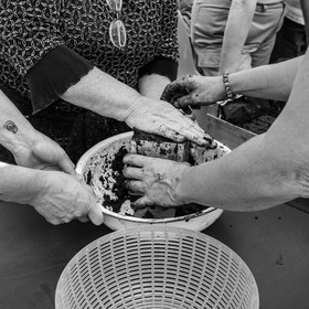 L'APF en visite à l'Ouort